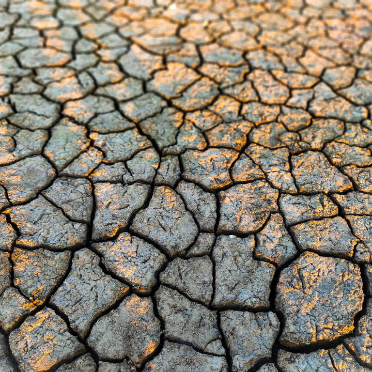 Yakelos Spanish drought causes olive oil price increase