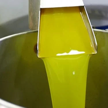 First Press Olive Oil: Everything You Need to Know