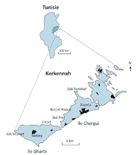 Yakelos Kerkennaise sauce